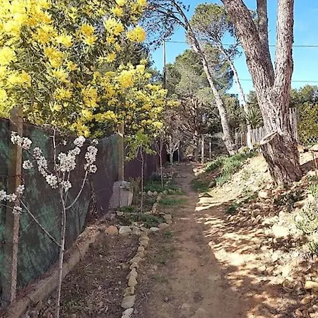 Entiere Bellevue - Balnéo - Piscine - Clim * Montséret